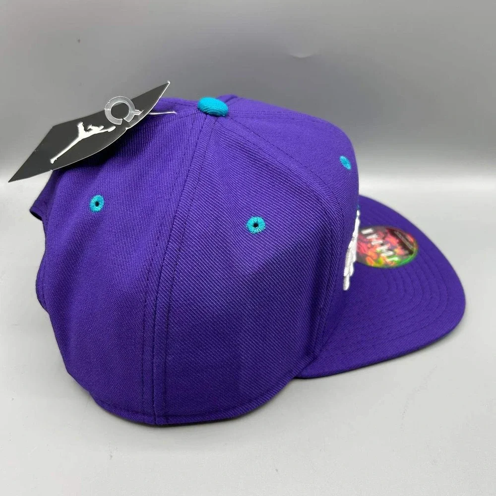 Charlotte Hornets x Air Jordan Hat Men Purple Blue Jumpman Snap Back Cap New